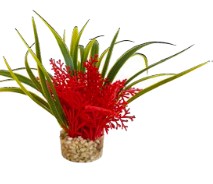 NANO FIESTA FLOWER