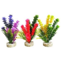 MAGIC FIESTA COLOURS