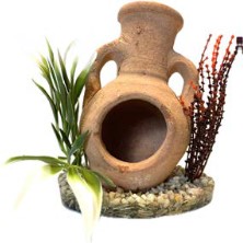 AMPHORE BISCUIT PAPYRUS