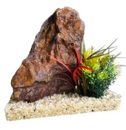 Alternative view of GRAND CANYON PLANT