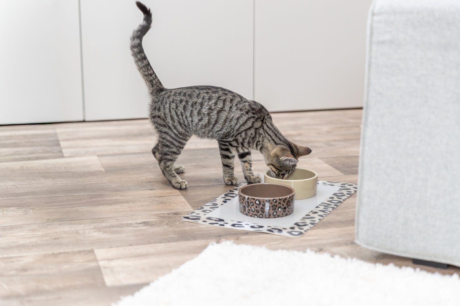 Napfunterlage Leo, 44×28cm assortiert Napfunterlage Leo, 44×28cm assortiert