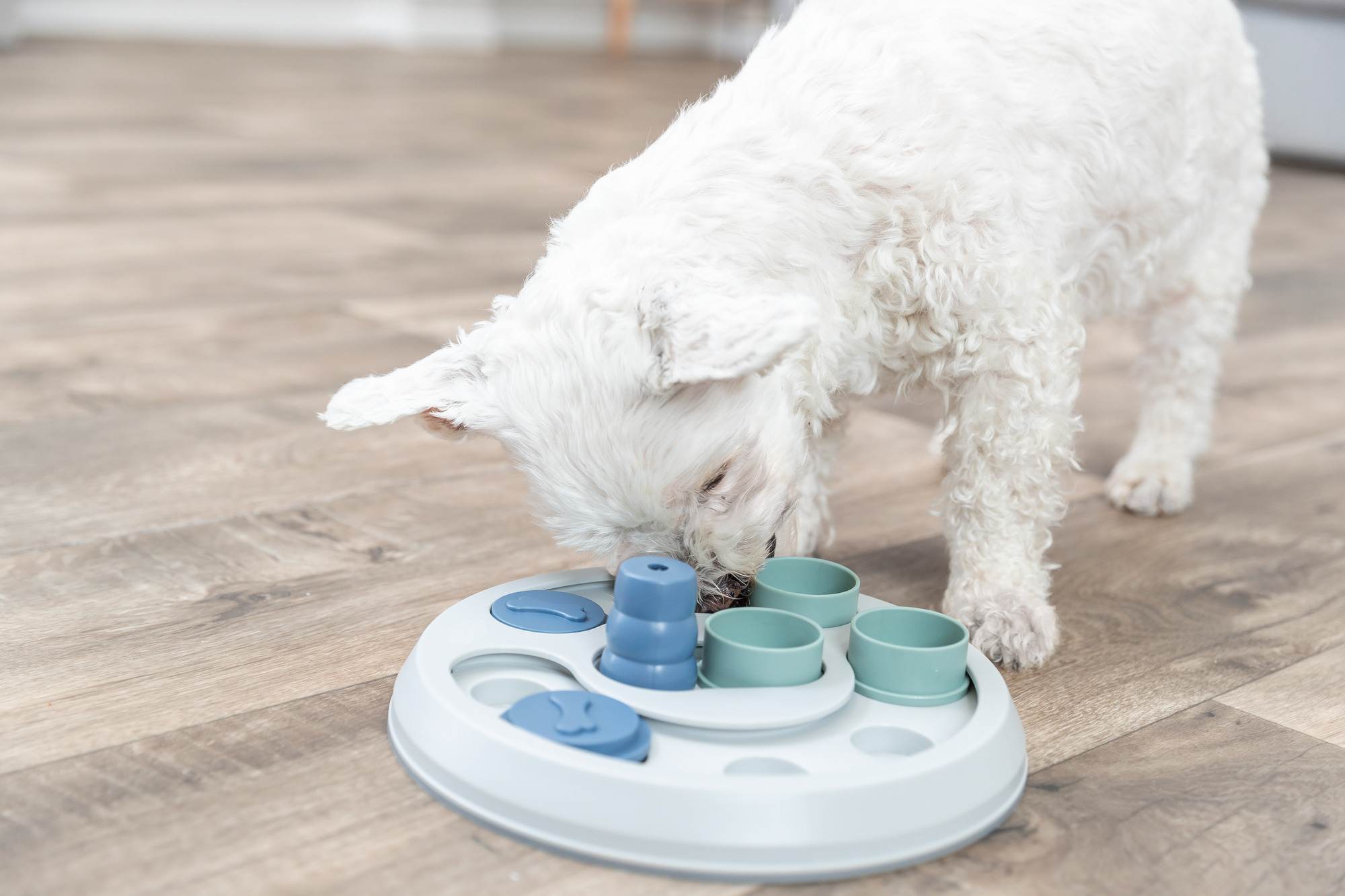 Dog Activity Flip & Fun, ø 23 cm Dog Activity Flip & Fun, ø 23 cm