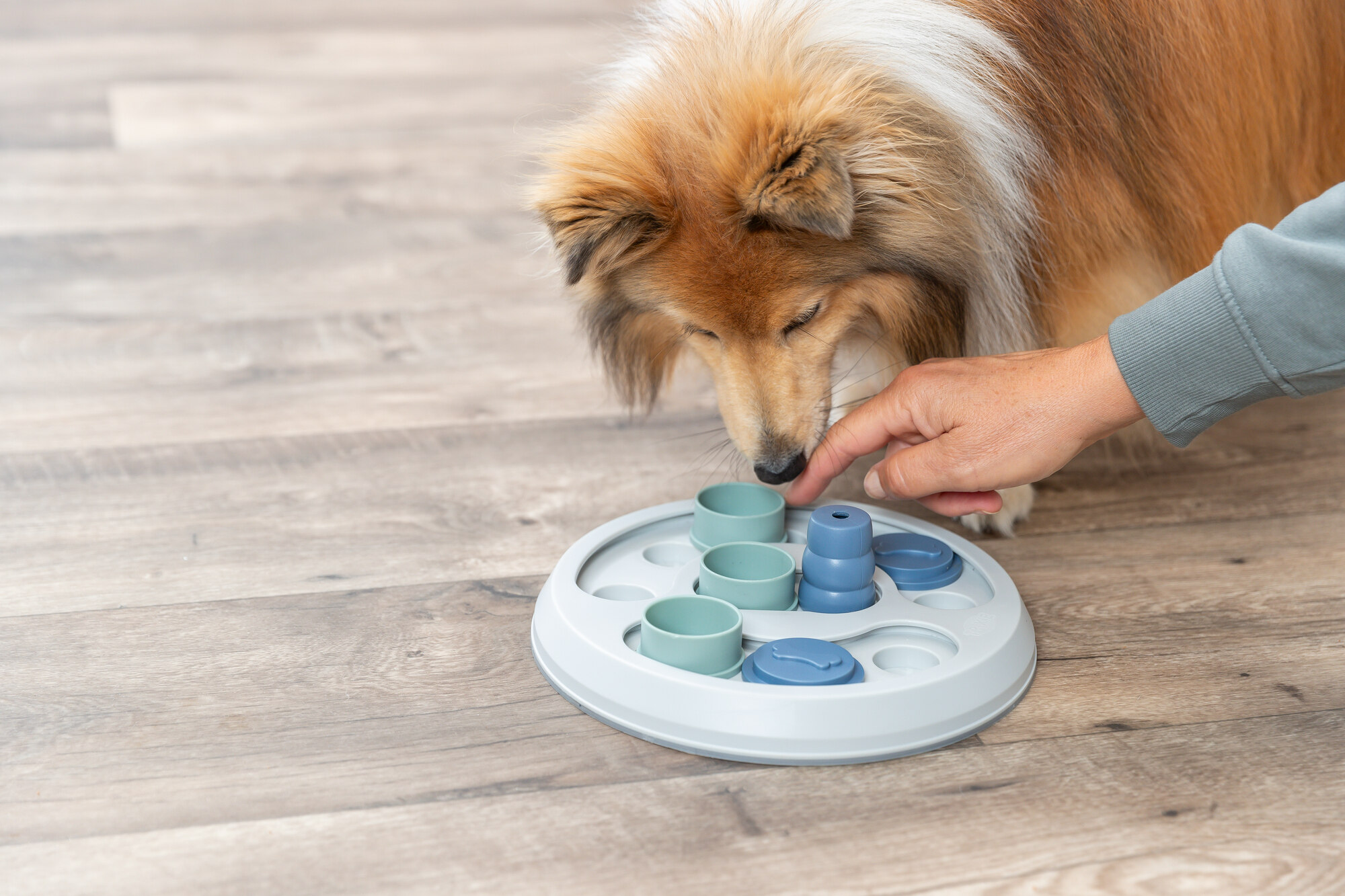 Dog Activity Flip & Fun, ø 23 cm Dog Activity Flip & Fun, ø 23 cm