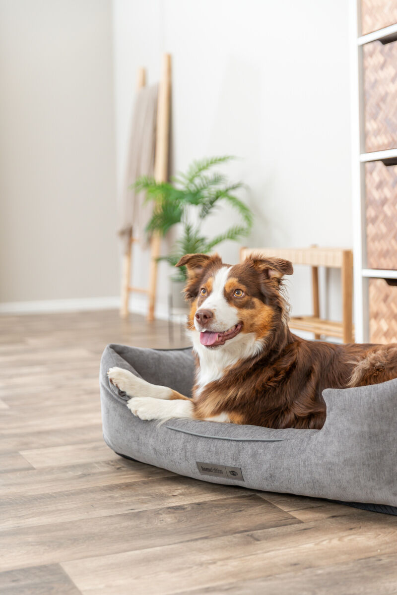 Vital Bett Lennox, Chenille, eckig, grau 60×50cm Vital Bett Lennox, Chenille, eckig, grau 60×50cm