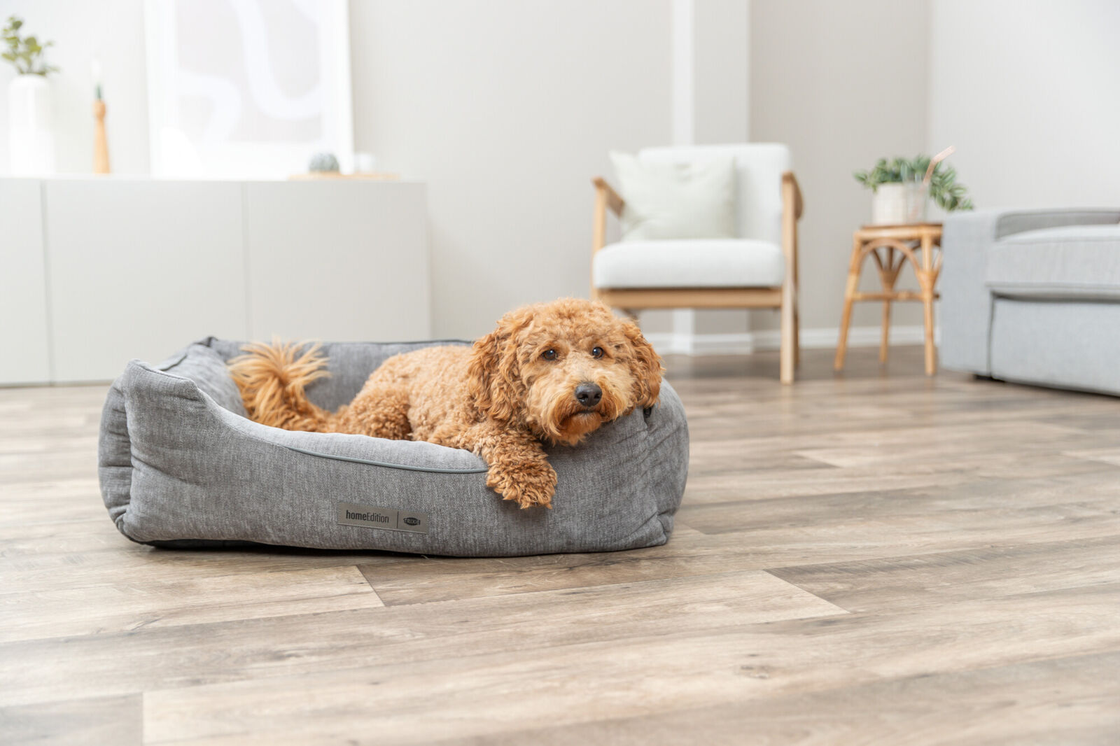 Vital Bett Lennox, Chenille, eckig, grau 60×50cm Vital Bett Lennox, Chenille, eckig, grau 60×50cm