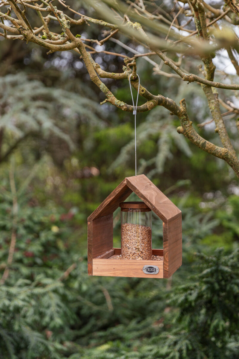 natura mangeoire oiseaux suspendue & silo, en pin, brun 20×24×20cm natura mangeoire oiseaux suspendue & silo, en pin, brun 20×24×20cm