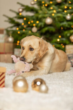 Alternative view of Xmas renne, en peluche, 18cm