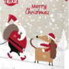 PREMIO calendrier de lAvent pour chiens, 30×34×3,5cm