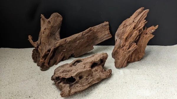 Mangrove natural ca. 20-30 cm Mangrove natural ca. 20-30 cm