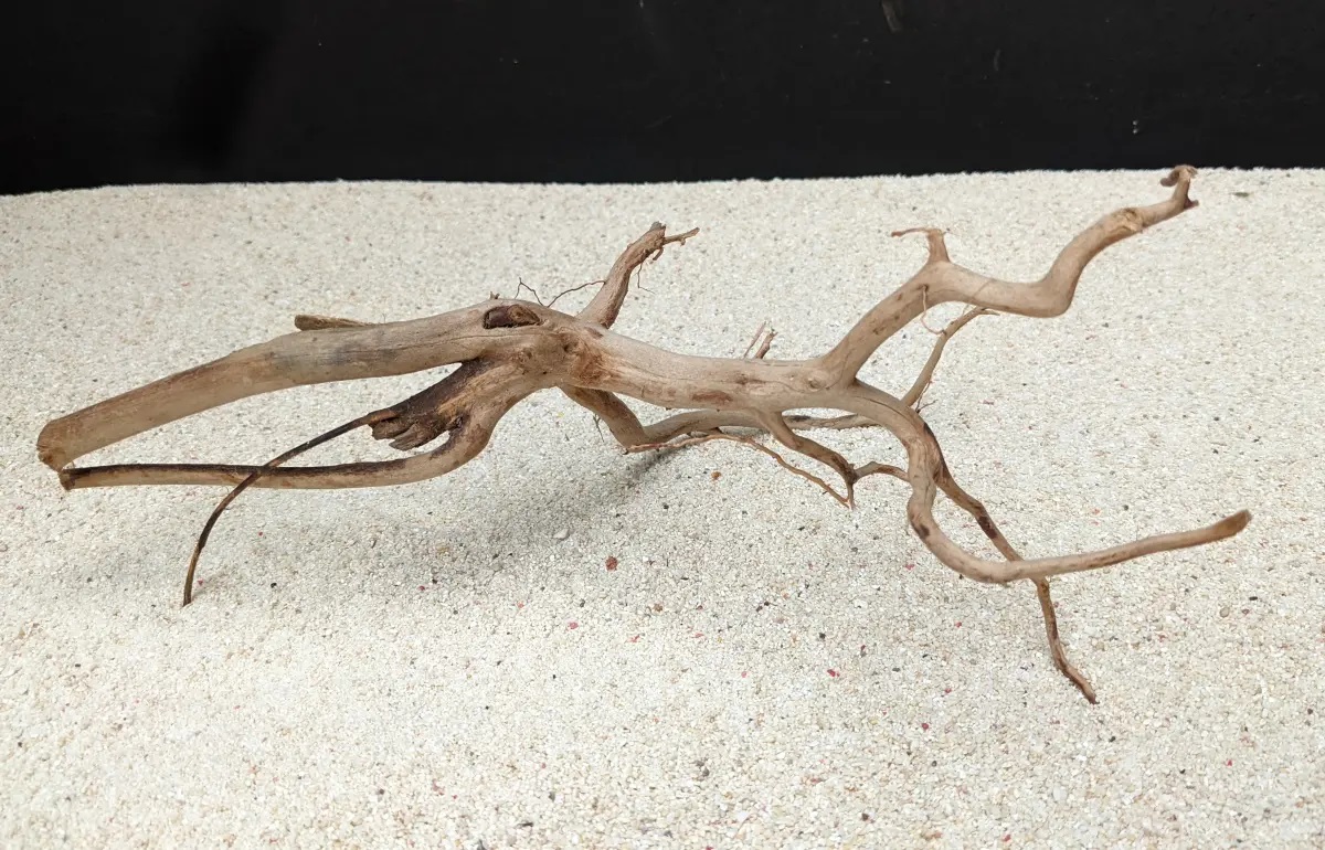 White Snake Wood S White Snake Wood S