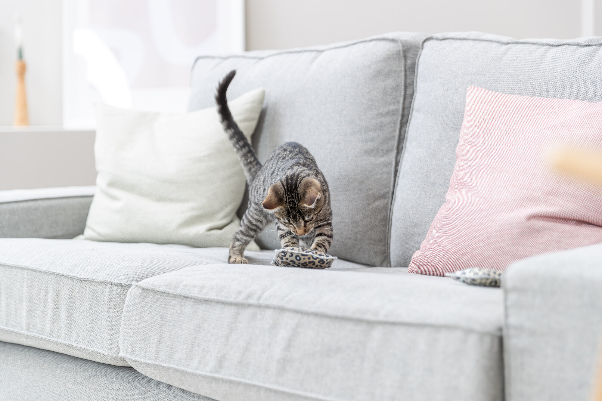 Kissen, Baumwolle, Baldrian, 7×9cm, diverse Kissen, Baumwolle, Baldrian, 7×9cm, diverse