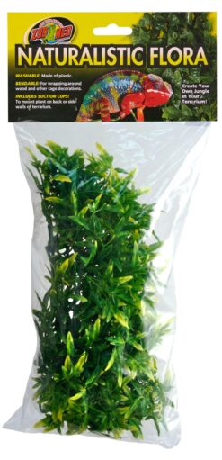 Medium Bolivian Croton