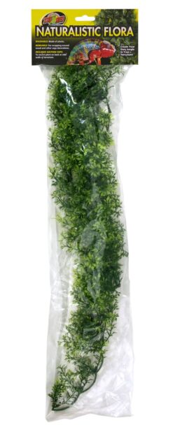 Large Australian Maple