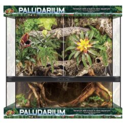 Double Door Paludarium 91X46X91cm