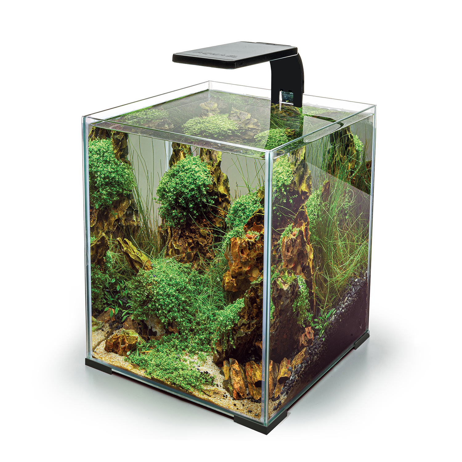 LEDDY SMART BT BLACK LEDDY SMART BT BLACK