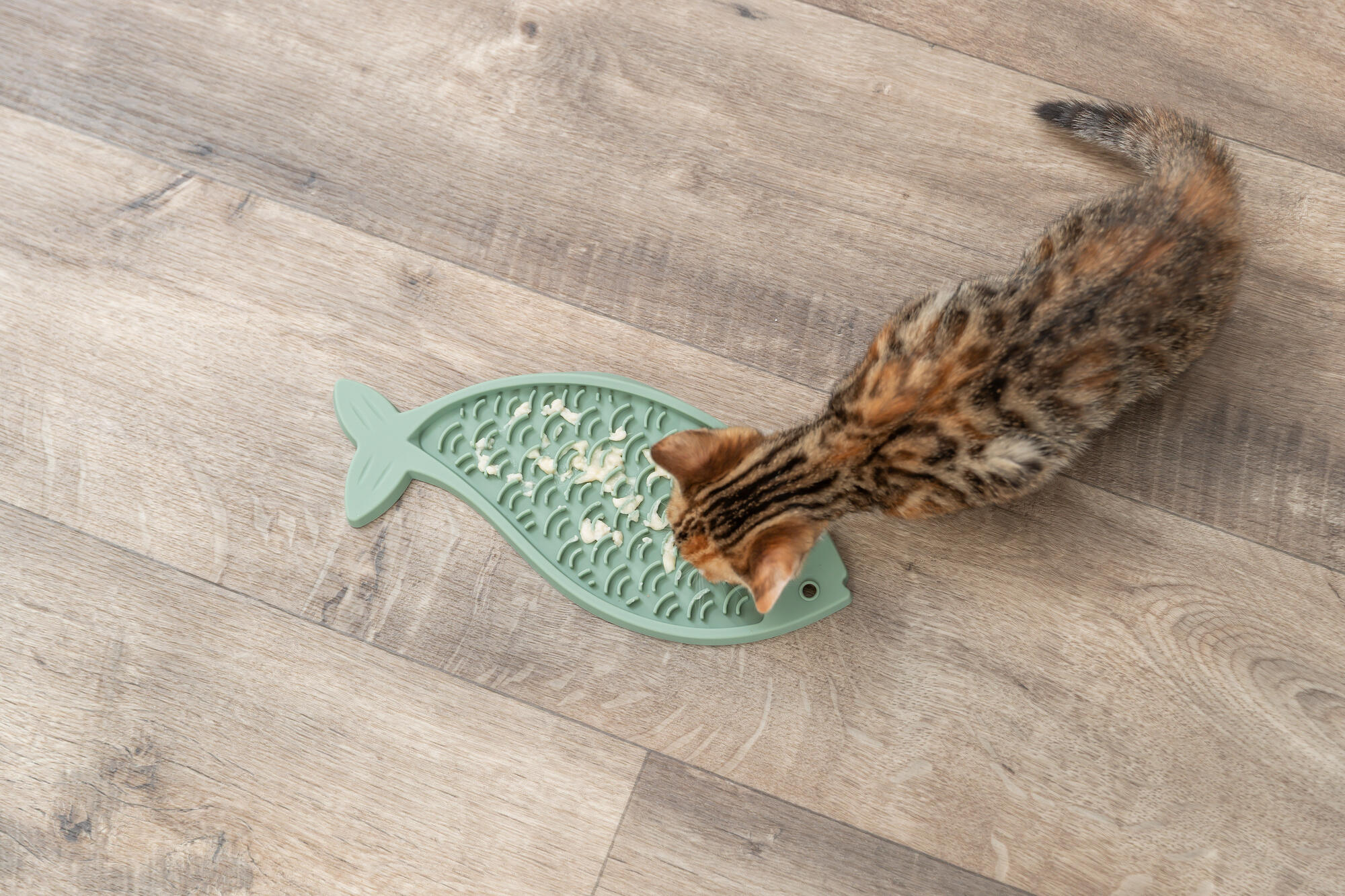 Lick'n'Snack Platte, Silikon, 28cm, salbei Lick'n'Snack Platte, Silikon, 28cm, salbei