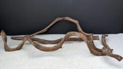 Alternative view of Lianen - Lianas