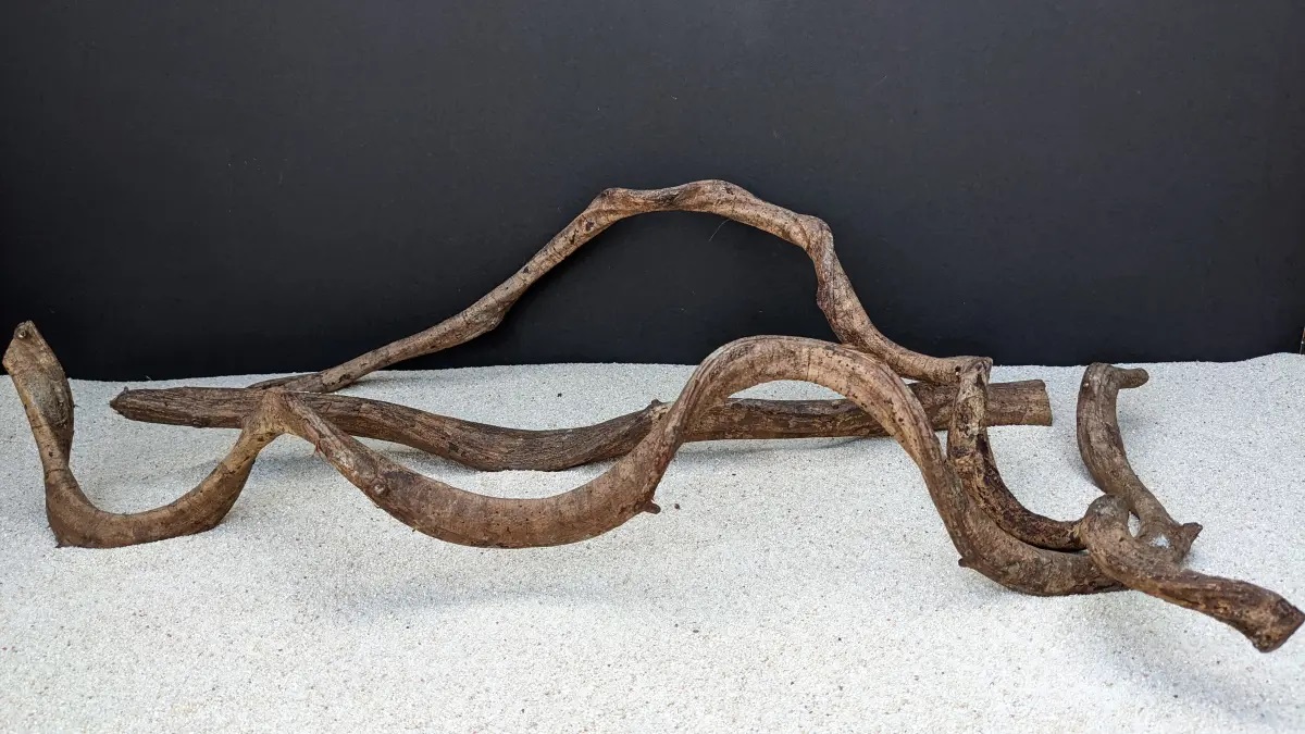 Lianen - Lianas ca. 80-100cm Lianen - Lianas ca. 80-100cm