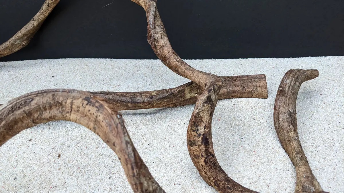 Lianen - Lianas ca. 80-100cm Lianen - Lianas ca. 80-100cm