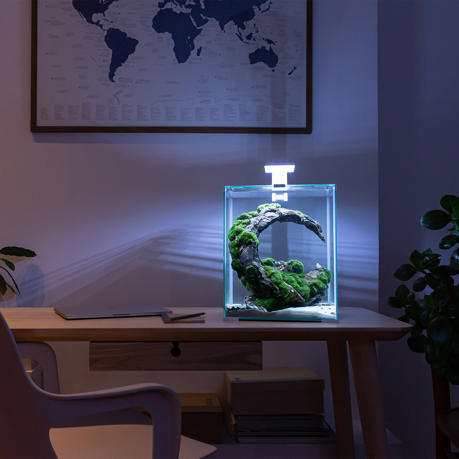 SHRIMP SET SMART D&N 30 BLACK ECOM SHRIMP SET SMART D&N 30 BLACK ECOM