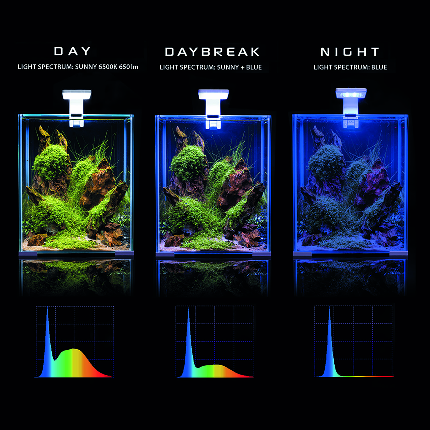 SHRIMP SET SMART D&N 30 BLACK ECOM SHRIMP SET SMART D&N 30 BLACK ECOM