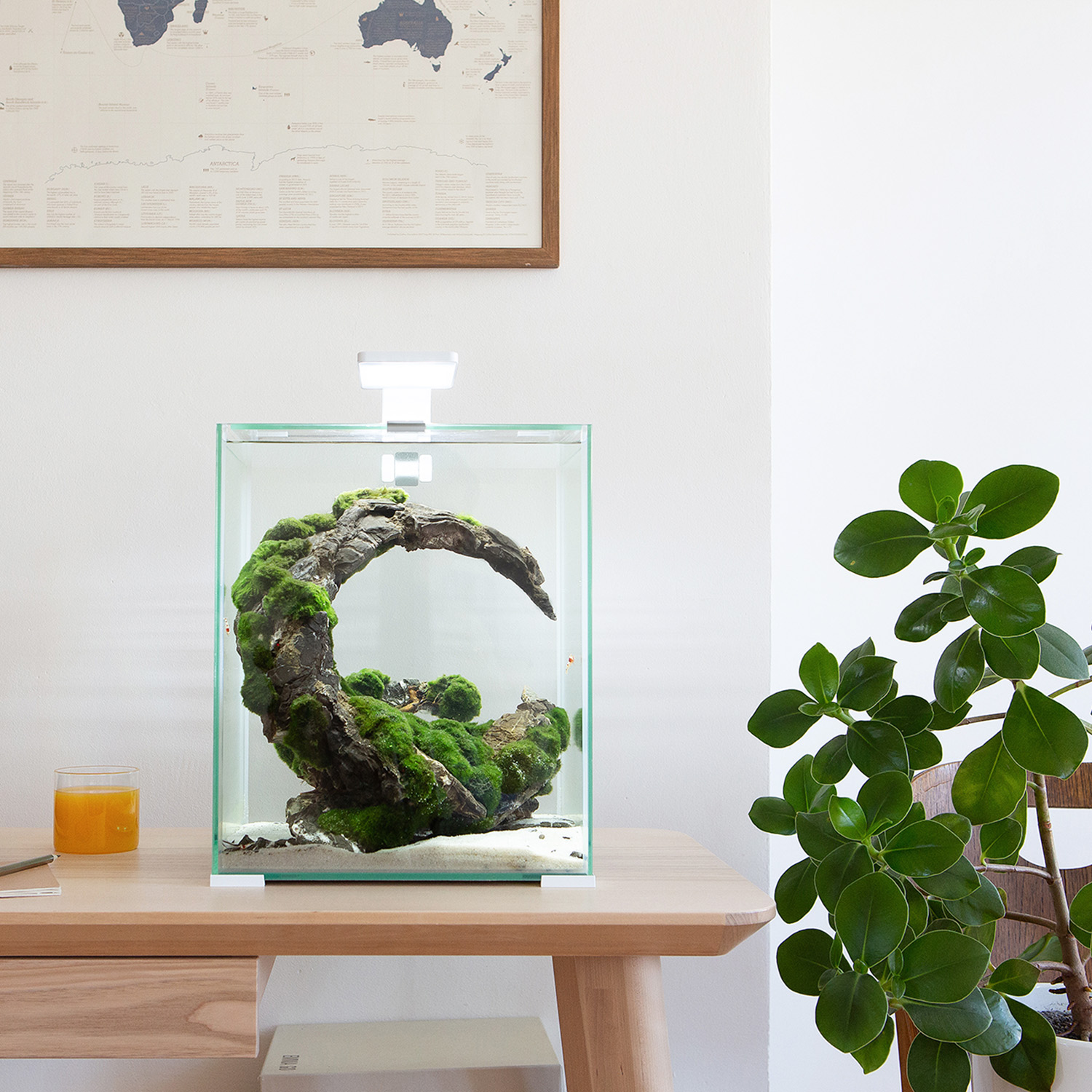 SHRIMP SET SMART D&N 30 BLACK ECOM SHRIMP SET SMART D&N 30 BLACK ECOM