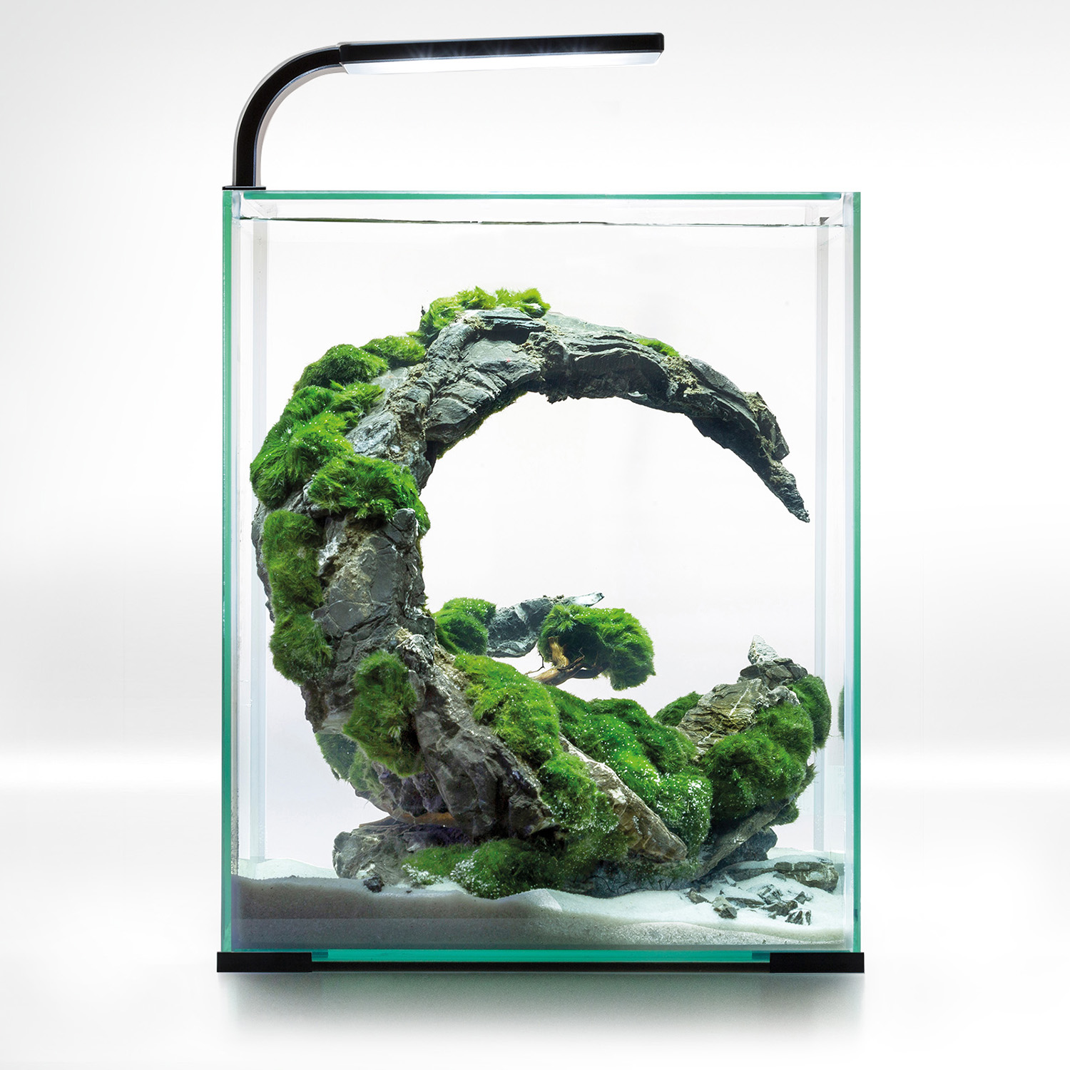 SHRIMP SET SMART D&N 30 BLACK ECOM SHRIMP SET SMART D&N 30 BLACK ECOM