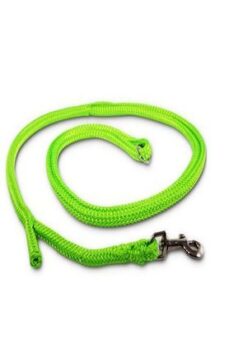Dino Laisse poly. avec Easy-Locking système, neon-vert