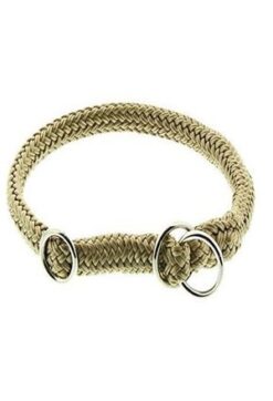 Dino Collier/étrang. Poly., sable