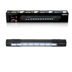 LEDDY SLIM MARINE NOIR 2.0