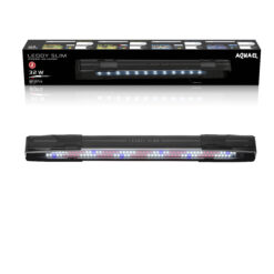 LEDDY SLIM PLANTE NOIR 2.0