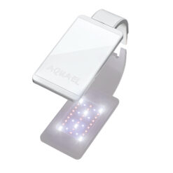 LEDDY SMART PLANTE & NUIT BLANC