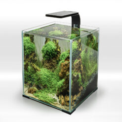 Alternative view of LEDDY SMART SUNNY D&N NOIR