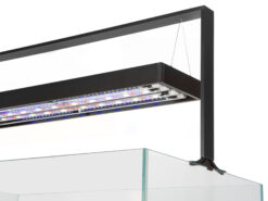 Alternative view of ULTRASCAPE-Kombination, Forest