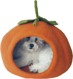 Alternative view of DDKC Abri Citrouile, Orange