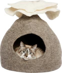 DDKC Abri Bouquet, Naturelle