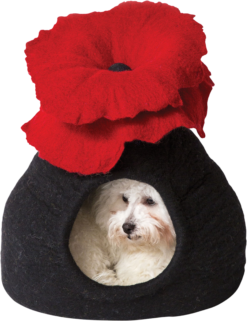 DDKC Abri Bouquet, Noir