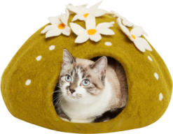 DDKC Abri Cactus, Vert