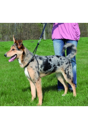 Easy Walk Service d'éduc. Gr.XL Easy Walk Service d'éduc. Gr.XL