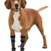 Pfotenschutz Walker Socks, schwarz/grau
