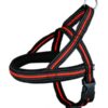 Fusion harnais, XL: 78-100cm, noir/orange