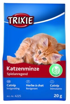 Alternative view of Menthe p. chat