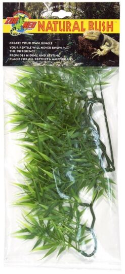 Large Madagascar Bamboo