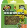 Terrarium Moss