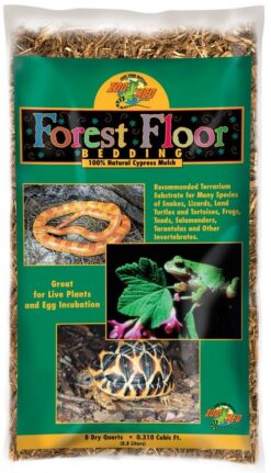 Bodengrund Forest Floor