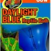 Daylight Blue Ampoule
