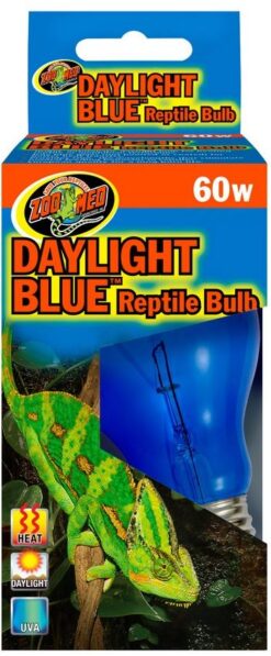 Daylight Blue Ampoule